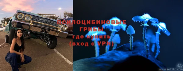 дживик Елизово