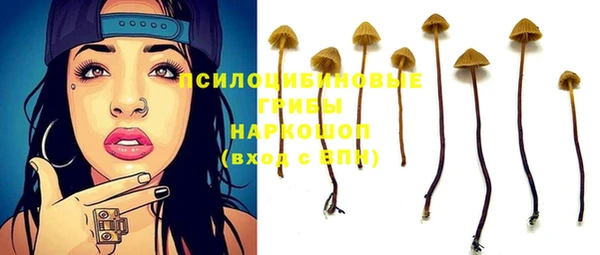 mix Елабуга
