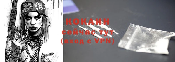 дживик Елизово