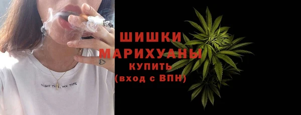 дживик Елизово