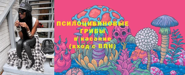 дживик Елизово