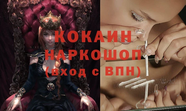 твердый Ельня