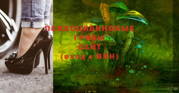 твердый Ельня
