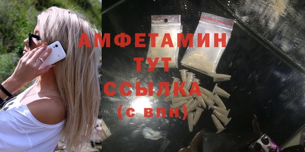 твердый Ельня