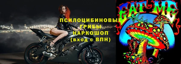 дживик Елизово