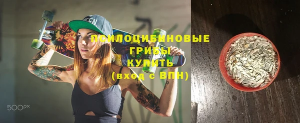 твердый Ельня