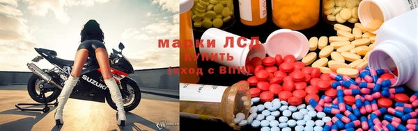 твердый Ельня